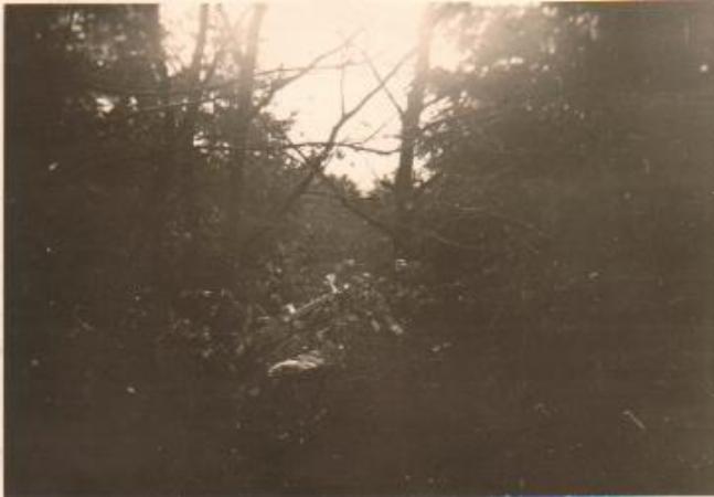 Images/Crash site 4.jpg